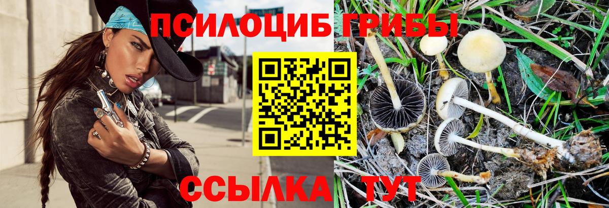 Псилоцибиновые грибы мухоморы Егорьевск