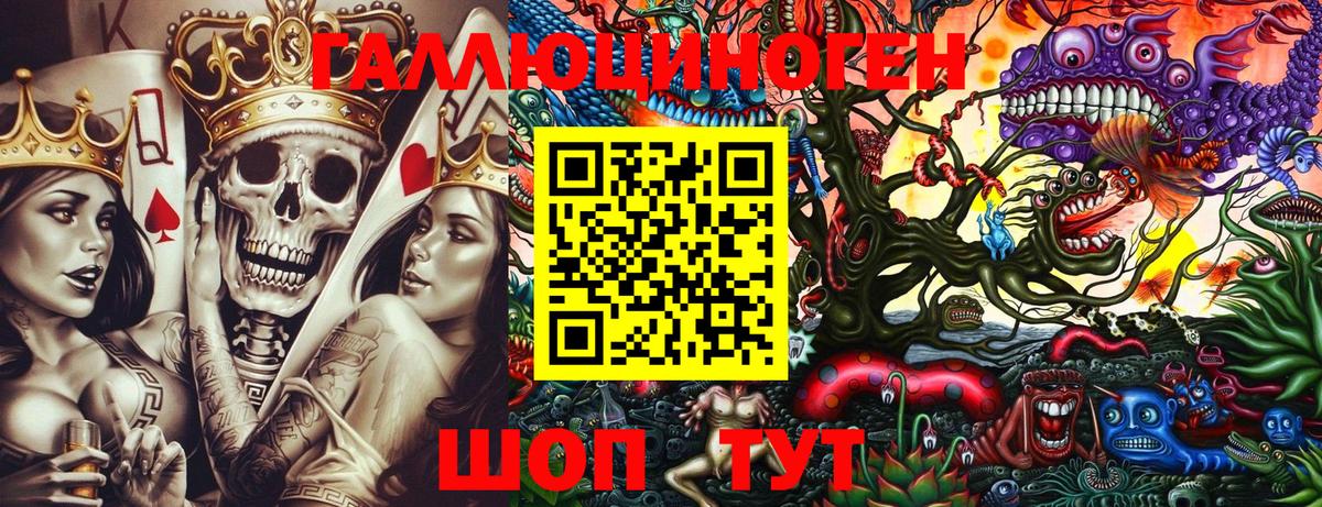 Псилоцибиновые грибы Psilocybe  Вход с VPN  Егорьевск 